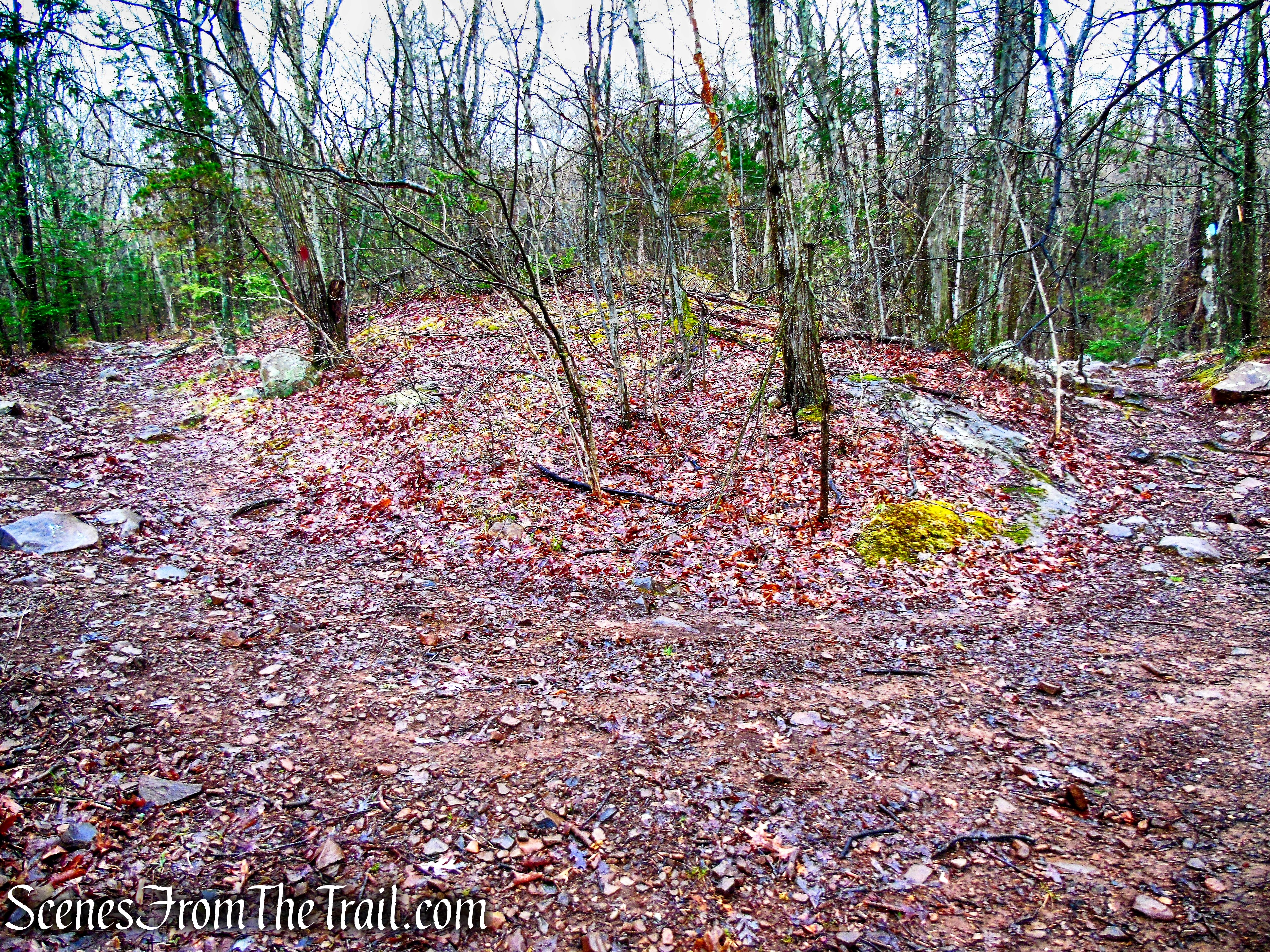 Metacomet Trail - South Mountain