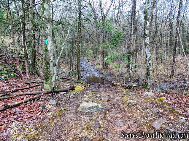 Metacomet Trail - South Mountain