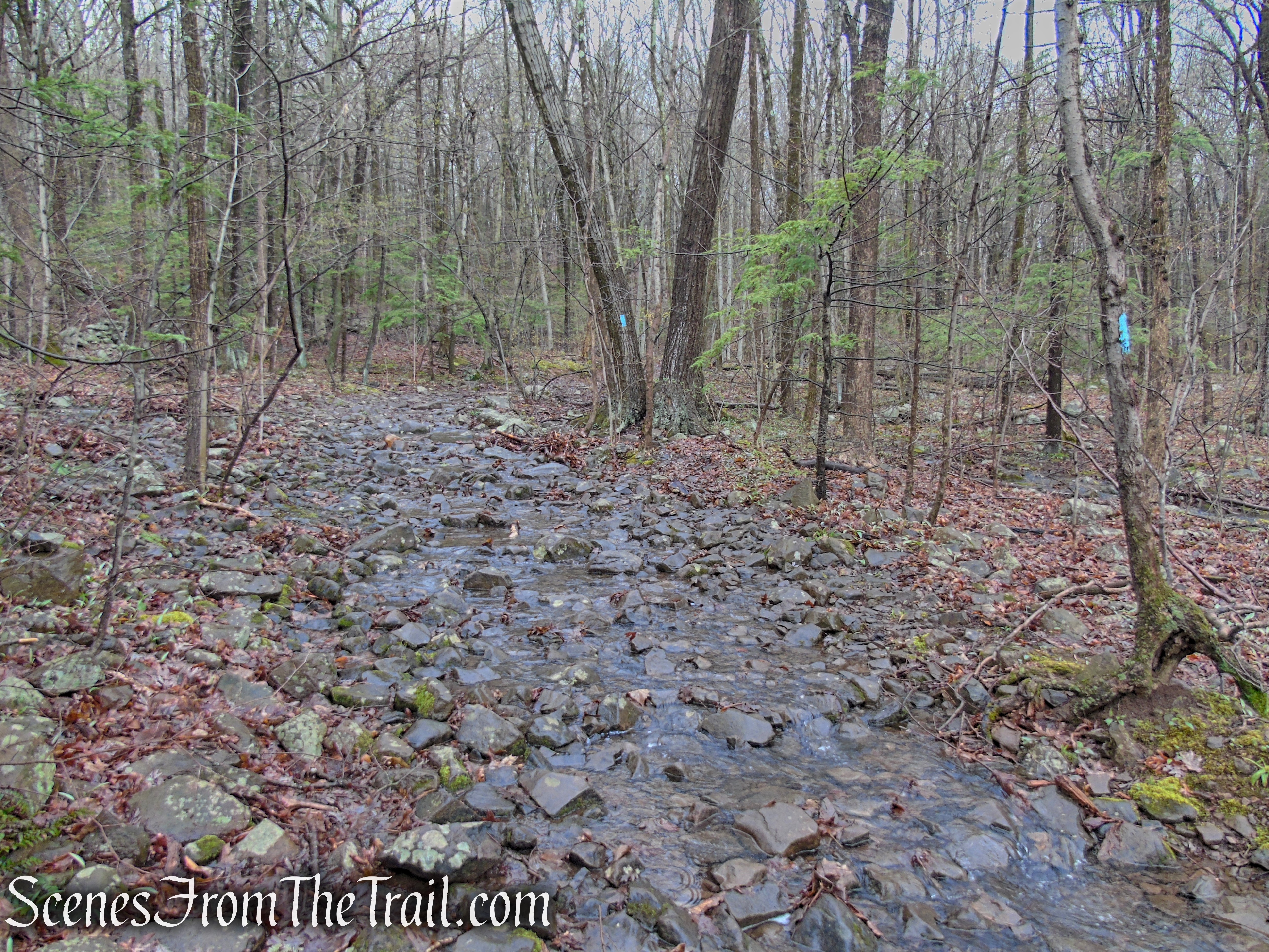 Metacomet Trail - South Mountain