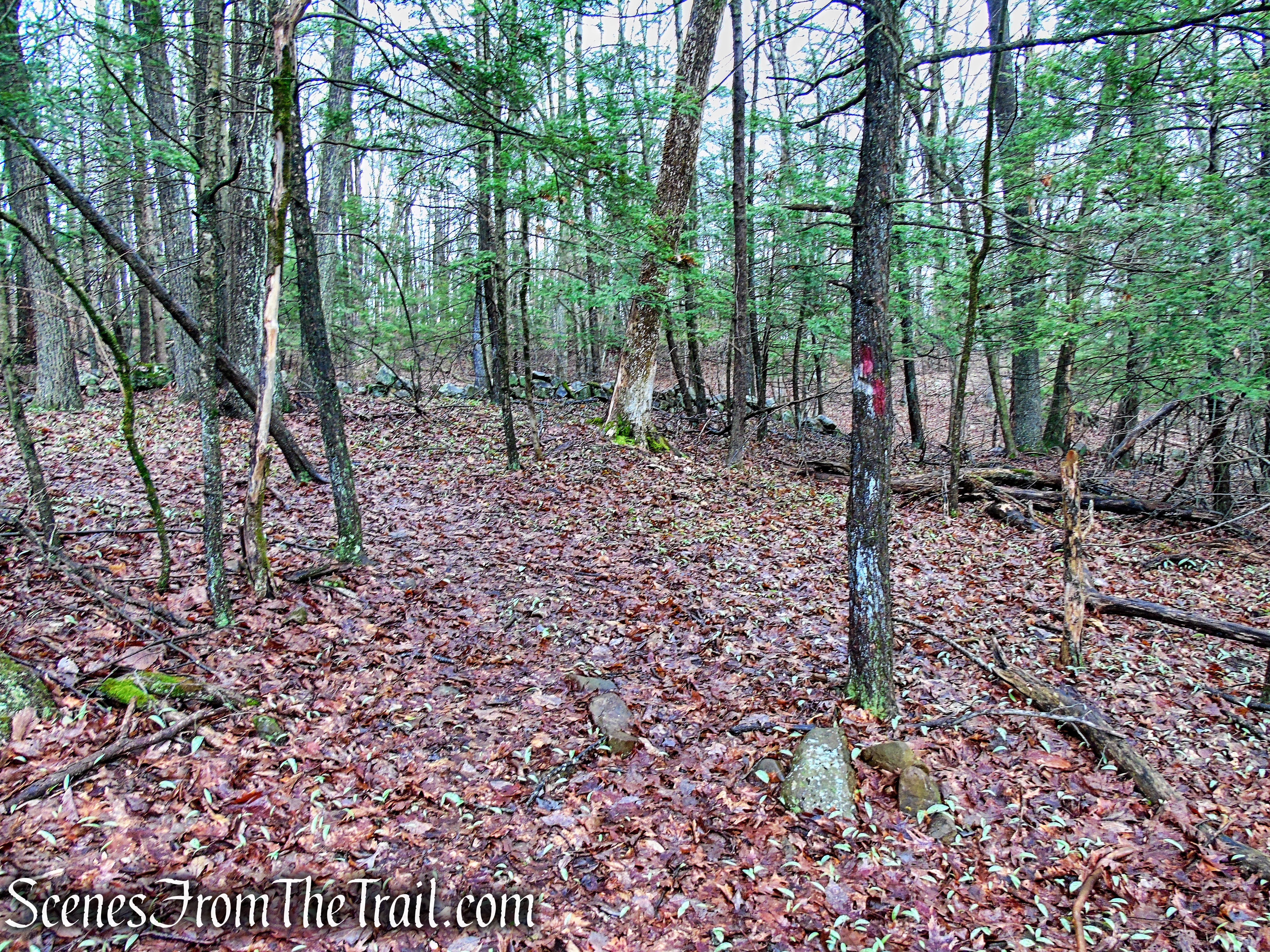 turn left on Red Trail 