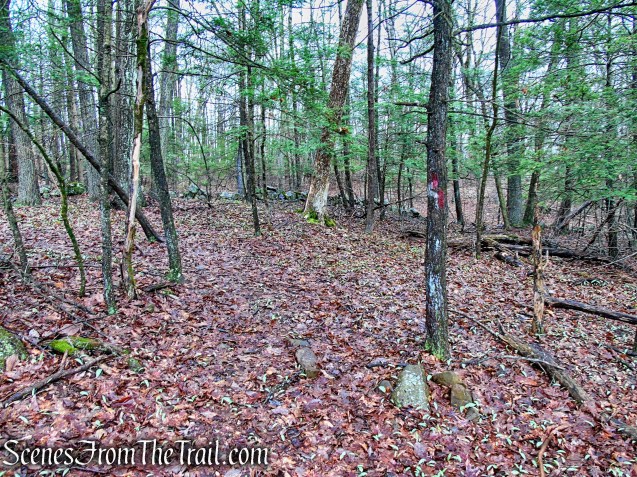 turn left on Red Trail 