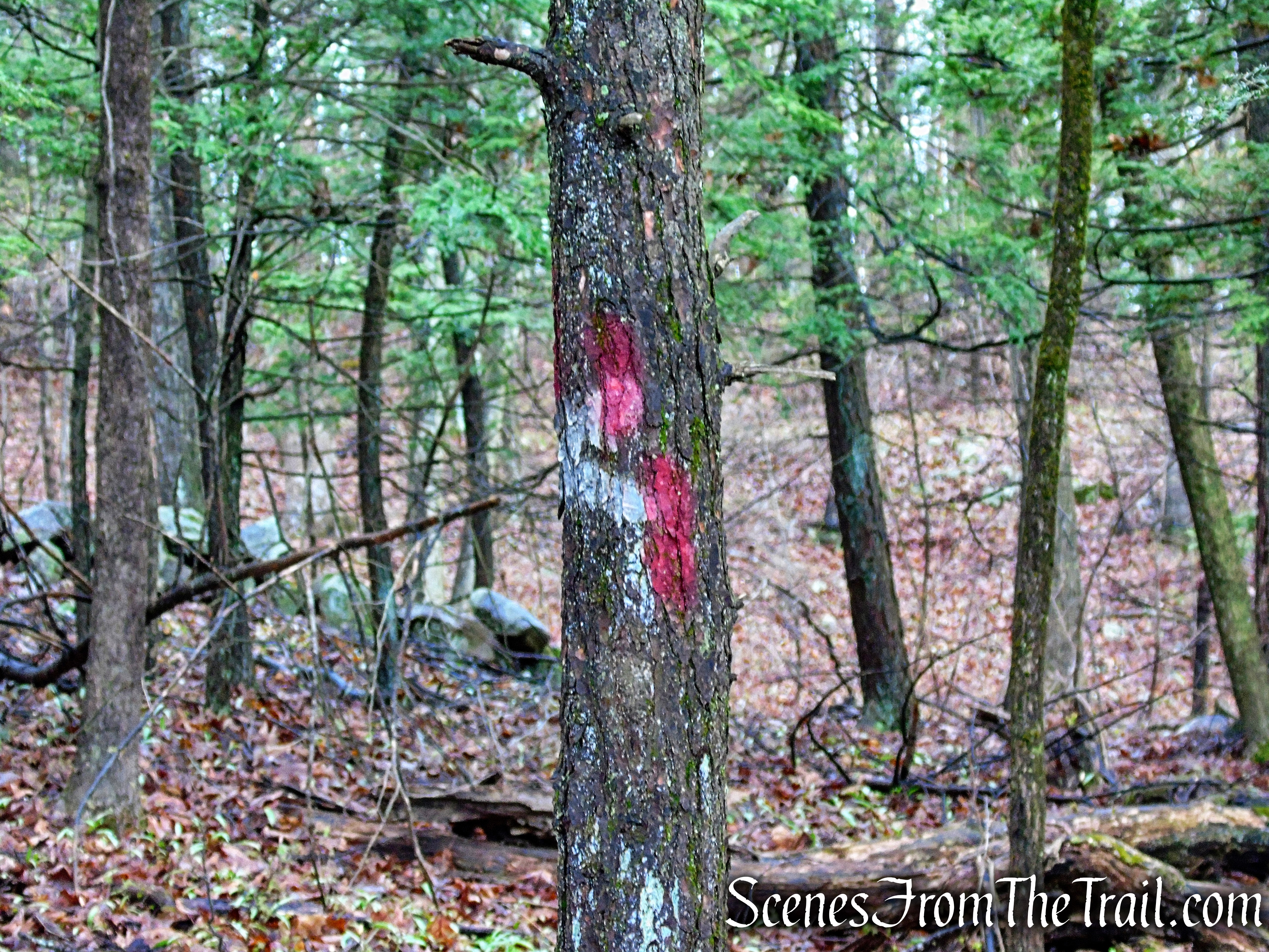 turn left on Red Trail 