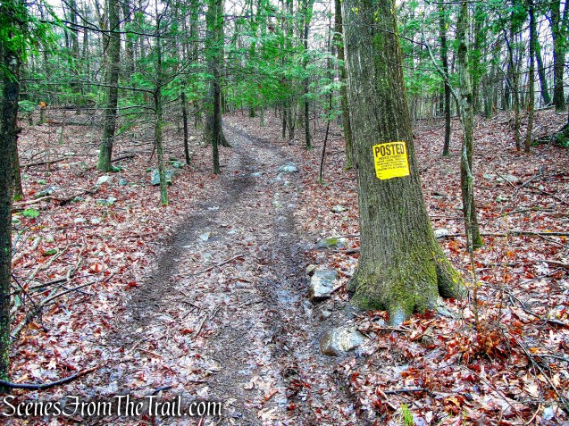Red Trail - South Mountain