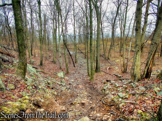 Red Trail - South Mountain