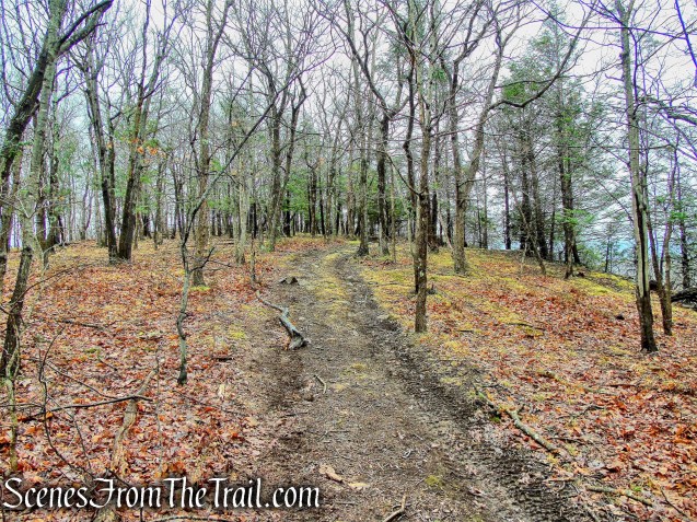 Red Trail - South Mountain