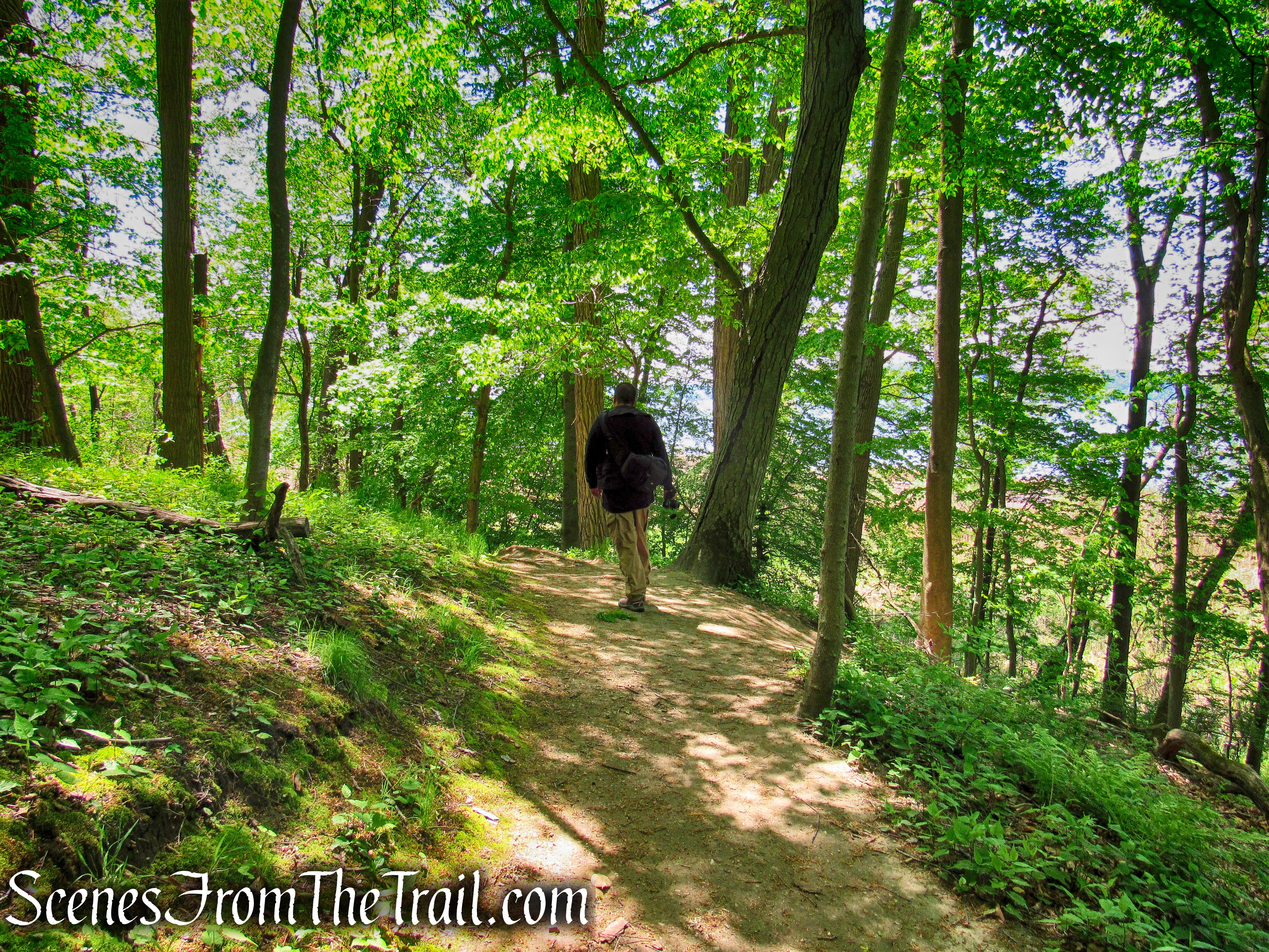 Crawbuckie Nature Preserve