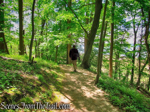 Crawbuckie Nature Preserve