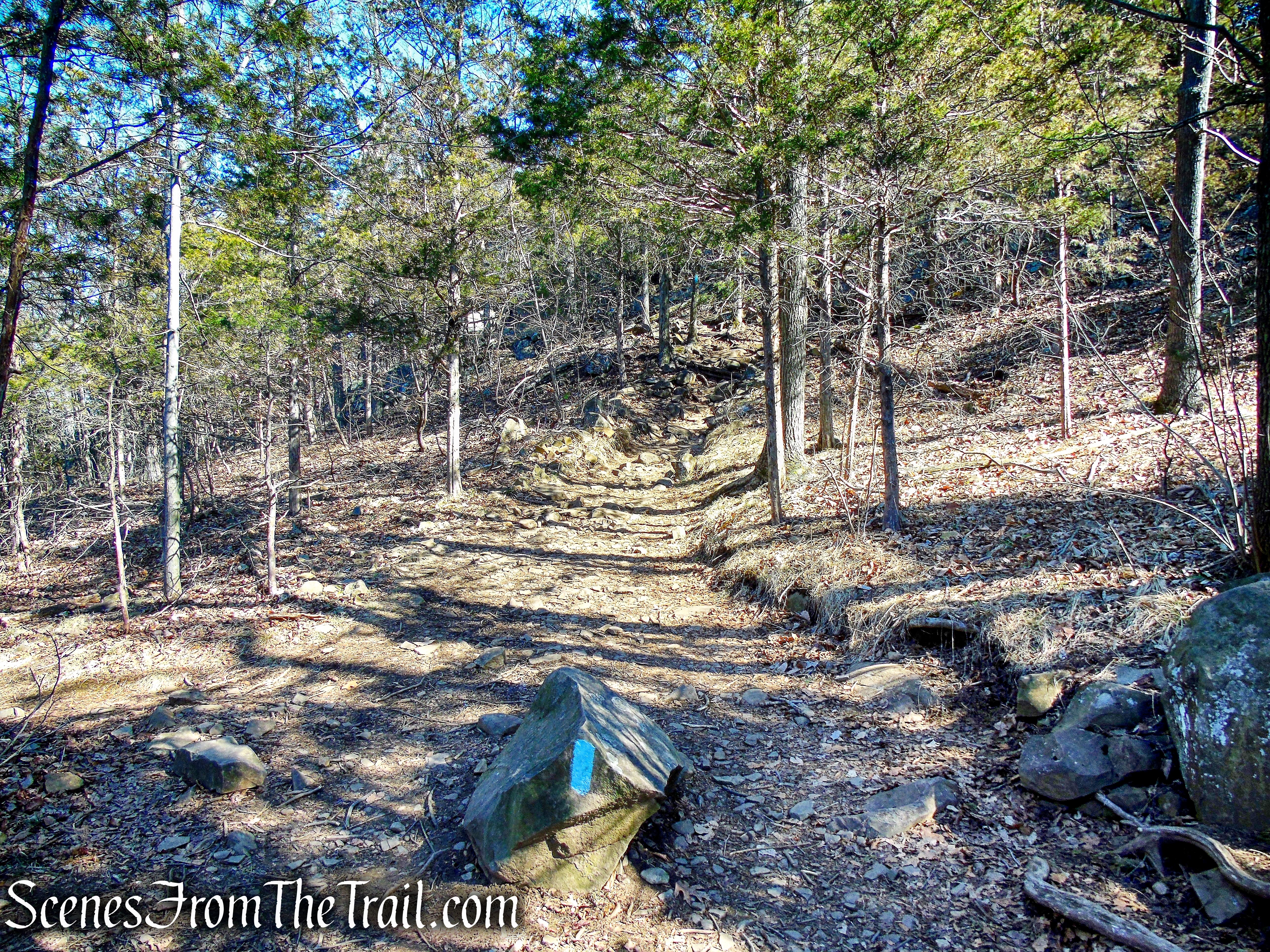 Quinnipiac Trail – Sleeping Giant State Park