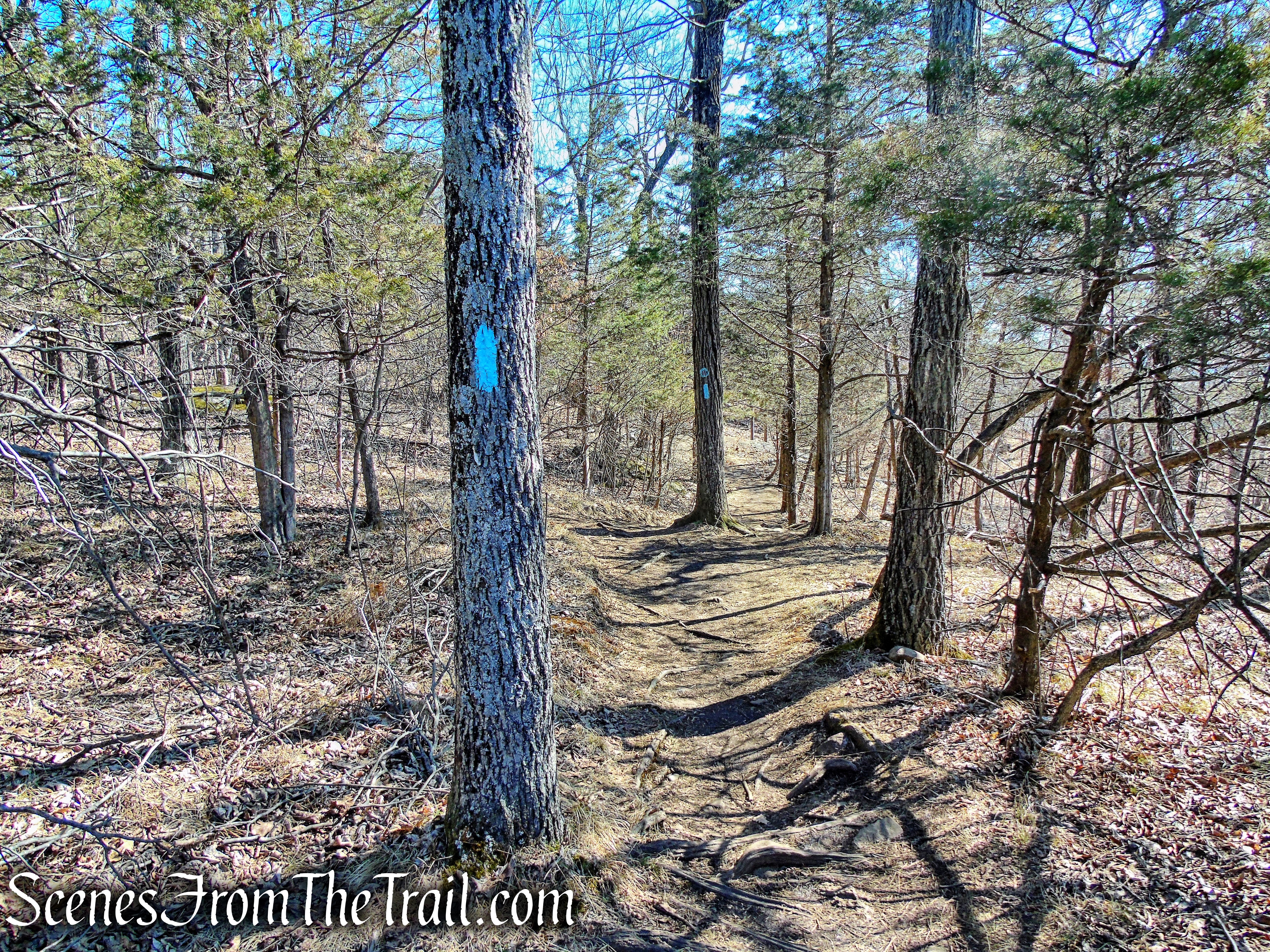 Quinnipiac Trail – Sleeping Giant State Park