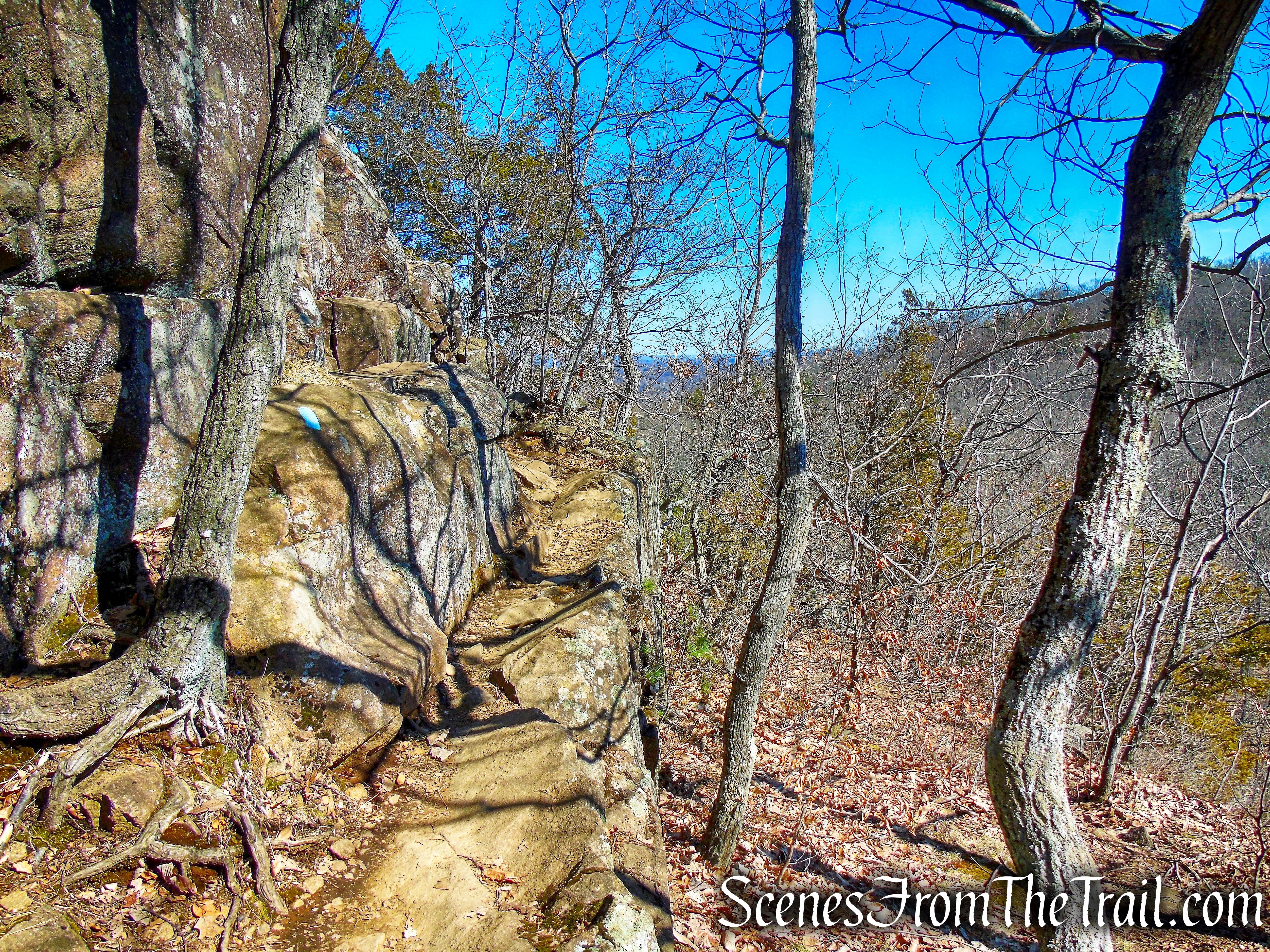 Quinnipiac Trail – Sleeping Giant State Park