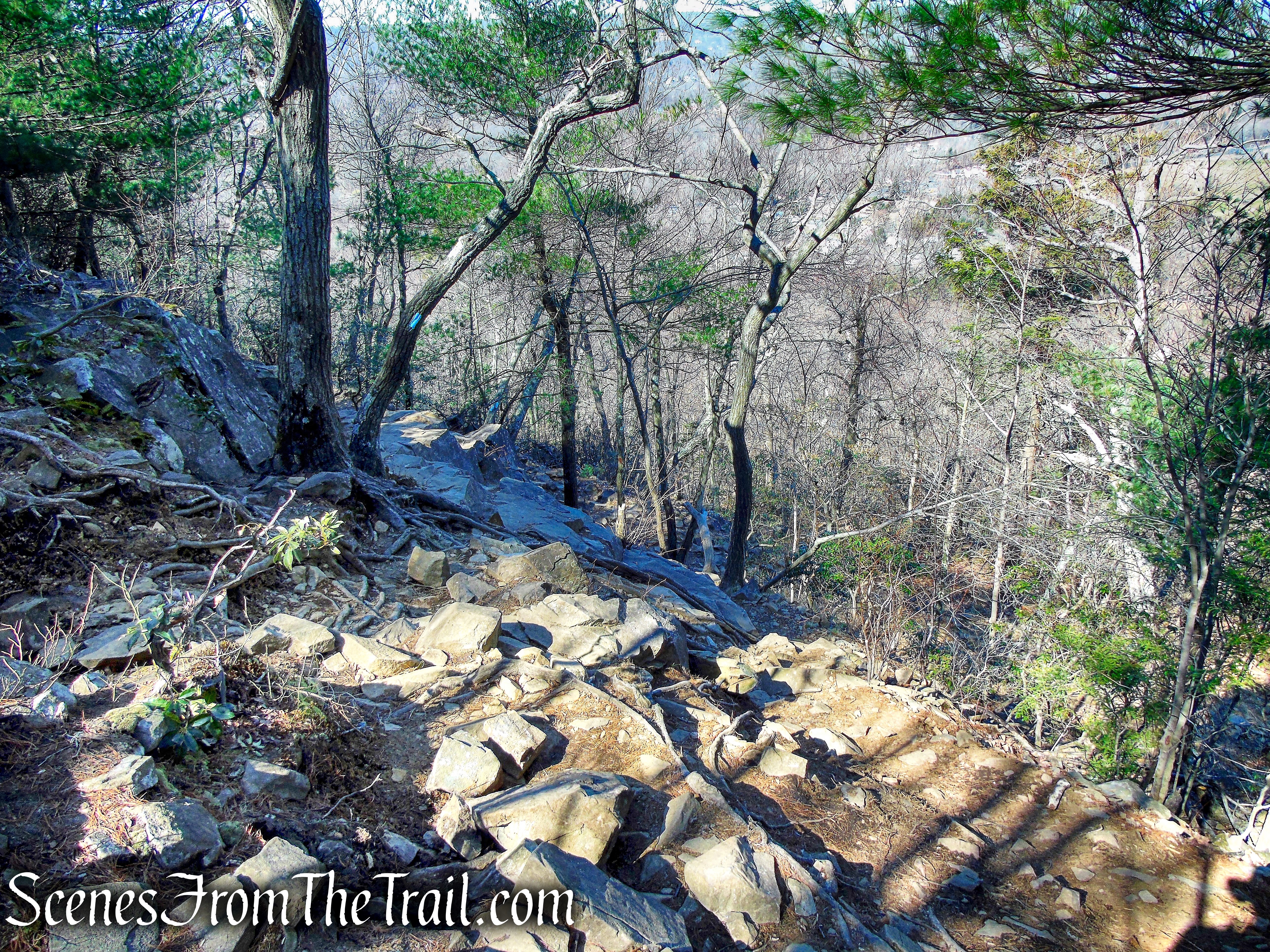 Quinnipiac Trail – Sleeping Giant State Park