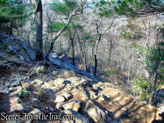 Quinnipiac Trail – Sleeping Giant State Park