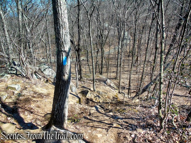 Quinnipiac Trail – Sleeping Giant State Park