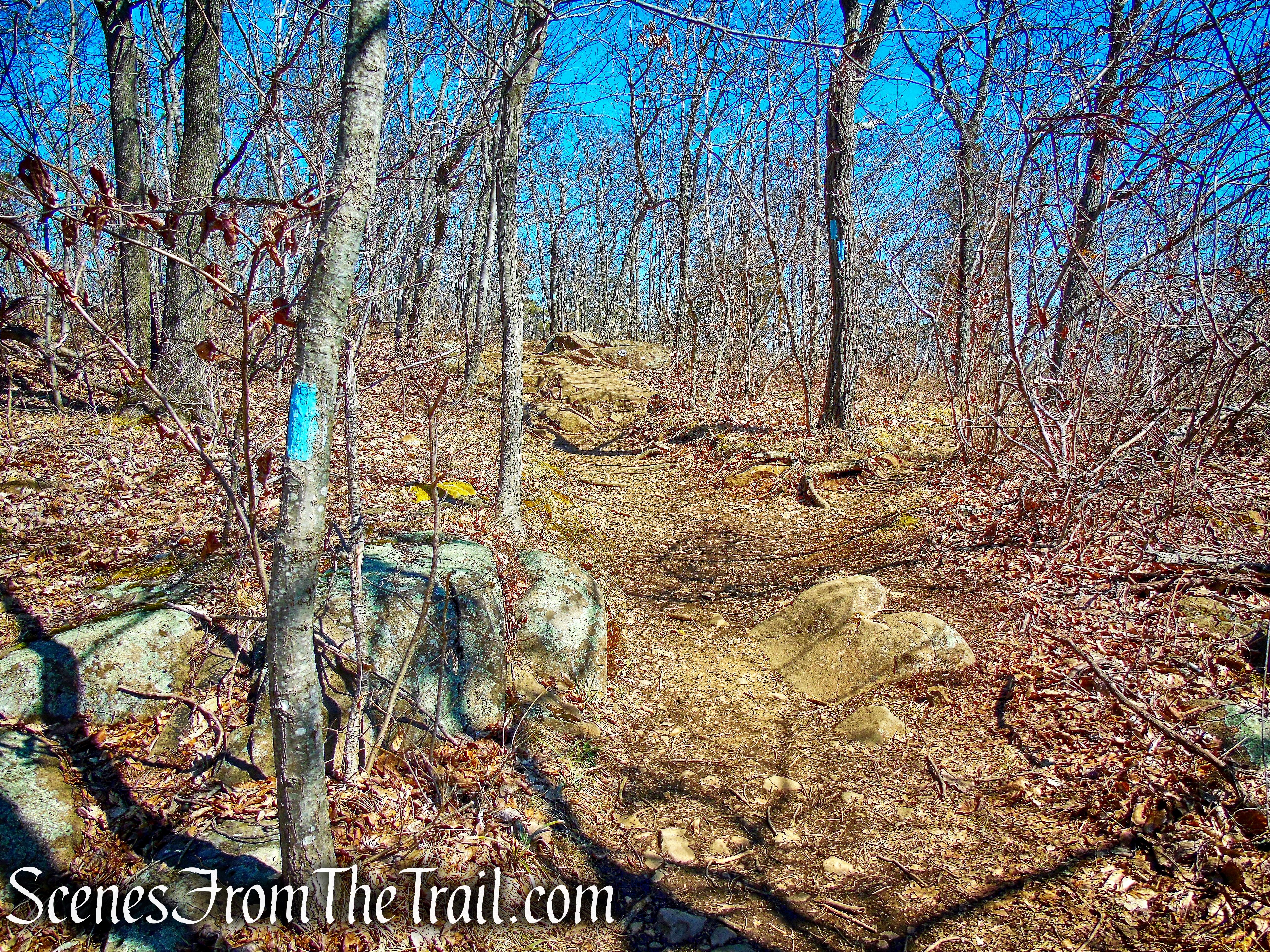 Quinnipiac Trail – Sleeping Giant State Park