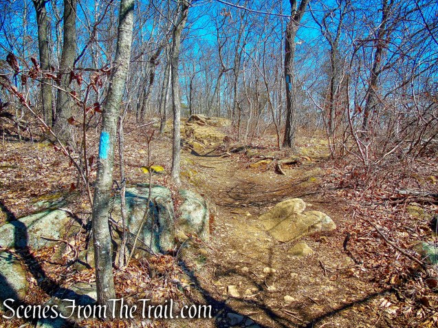 Quinnipiac Trail – Sleeping Giant State Park