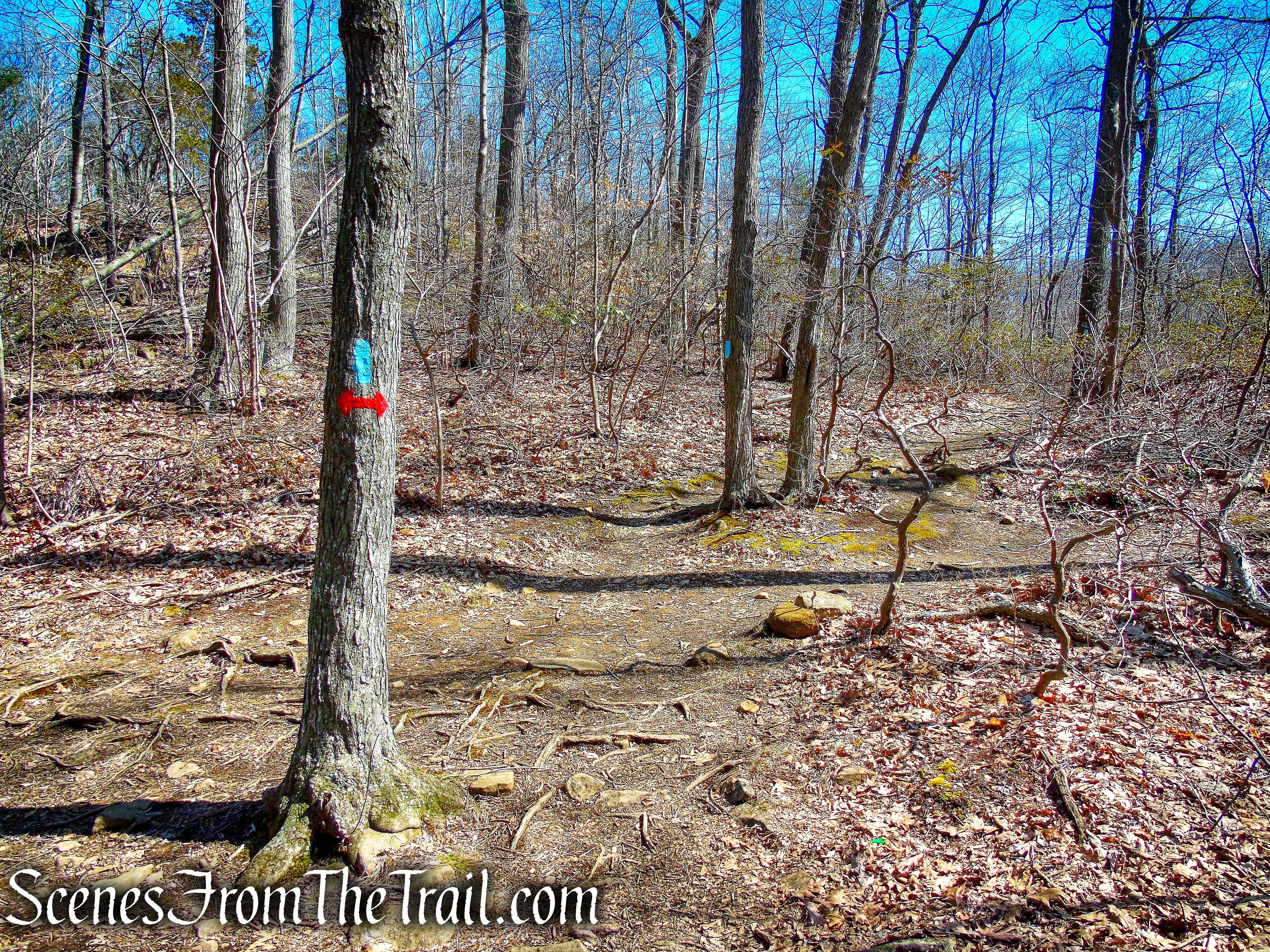 turn right on Red Circle Trail