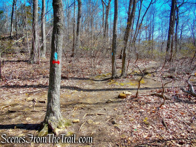 turn right on Red Circle Trail
