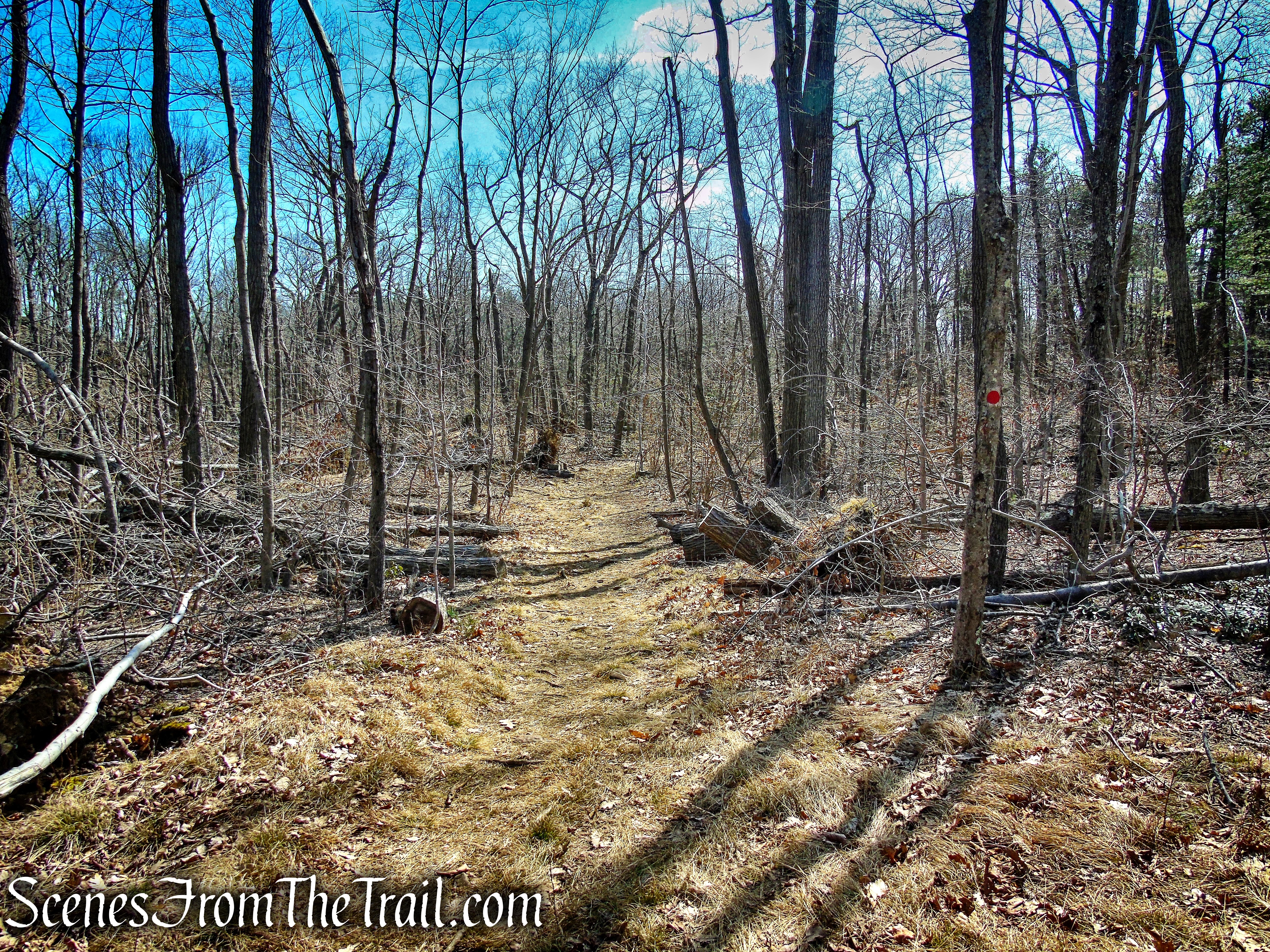 Red Circle Trail – Sleeping Giant State Park