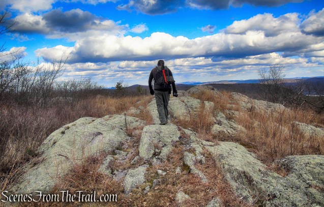 Appalachian Trail - Bellvale Mountain