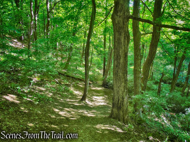 Red Trail - Whippoorwill Park