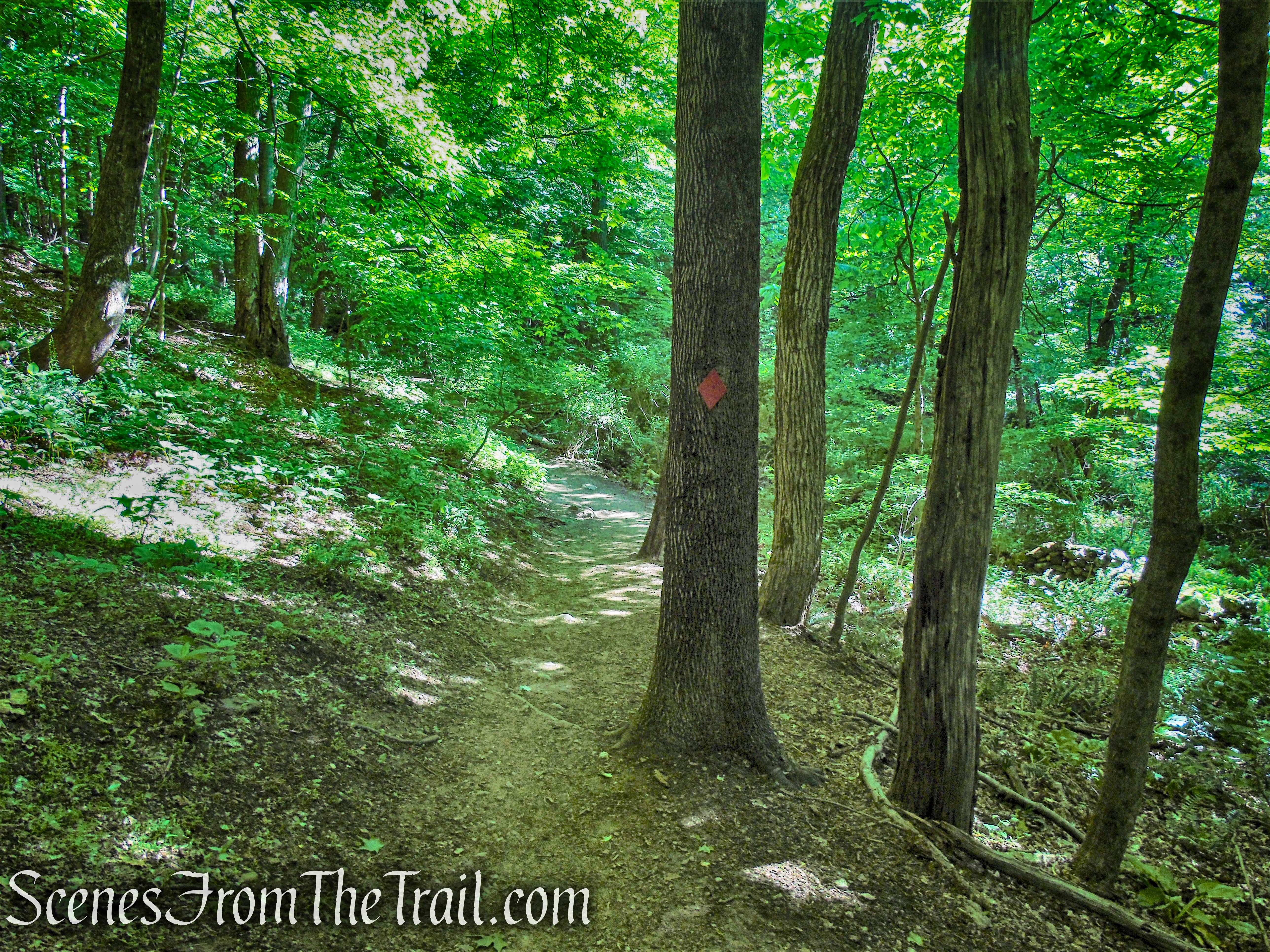 Red Trail - Whippoorwill Park 