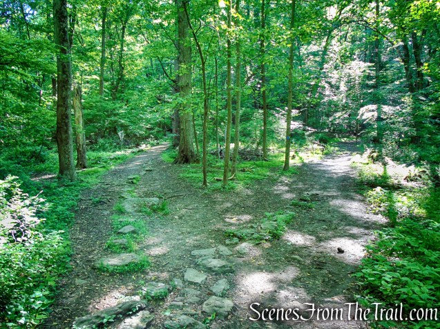 turn right on Blue Trail