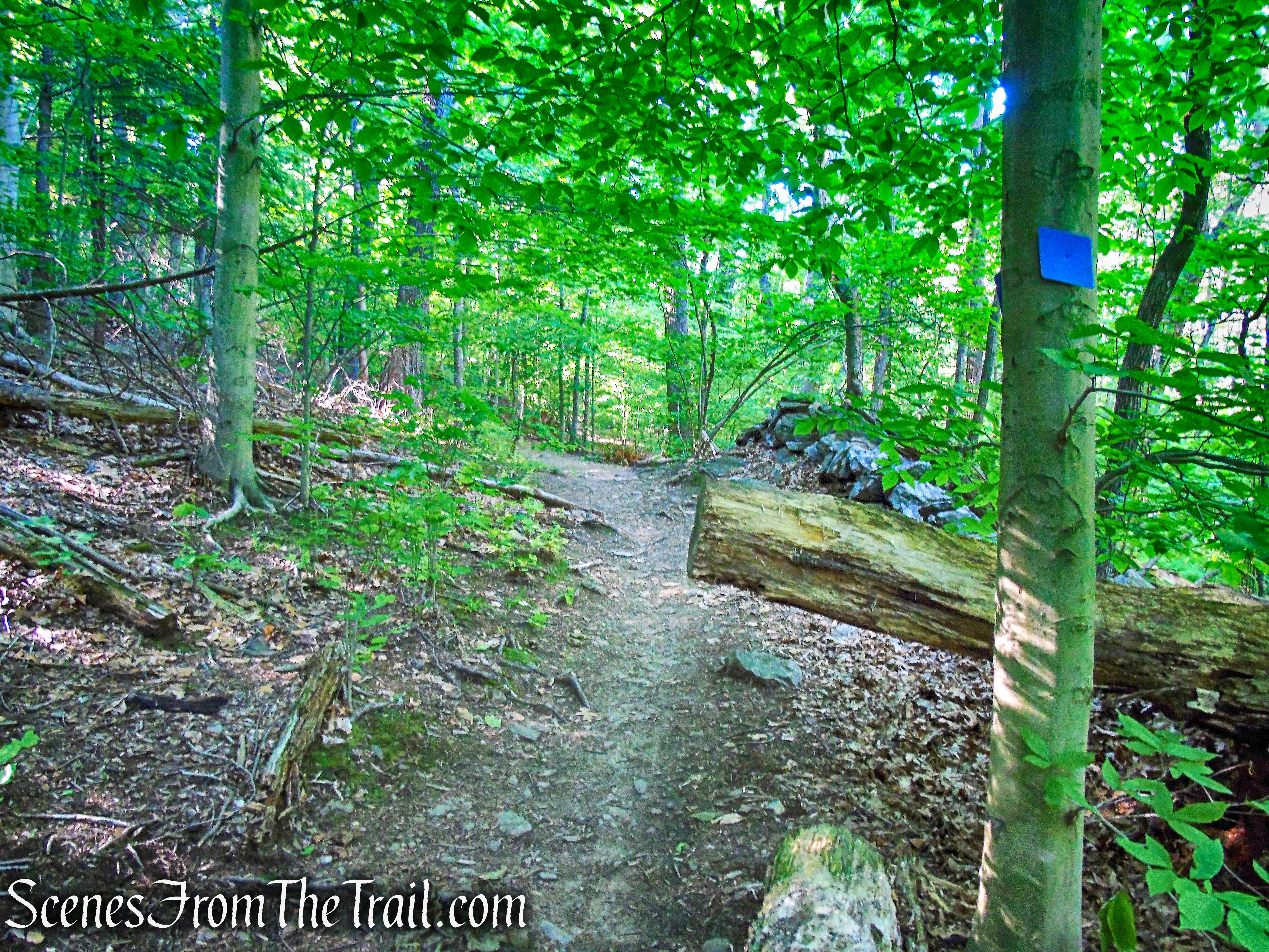 Blue Trail - Whippoorwill Park