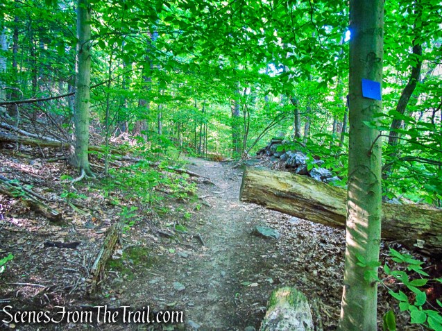 Blue Trail - Whippoorwill Park