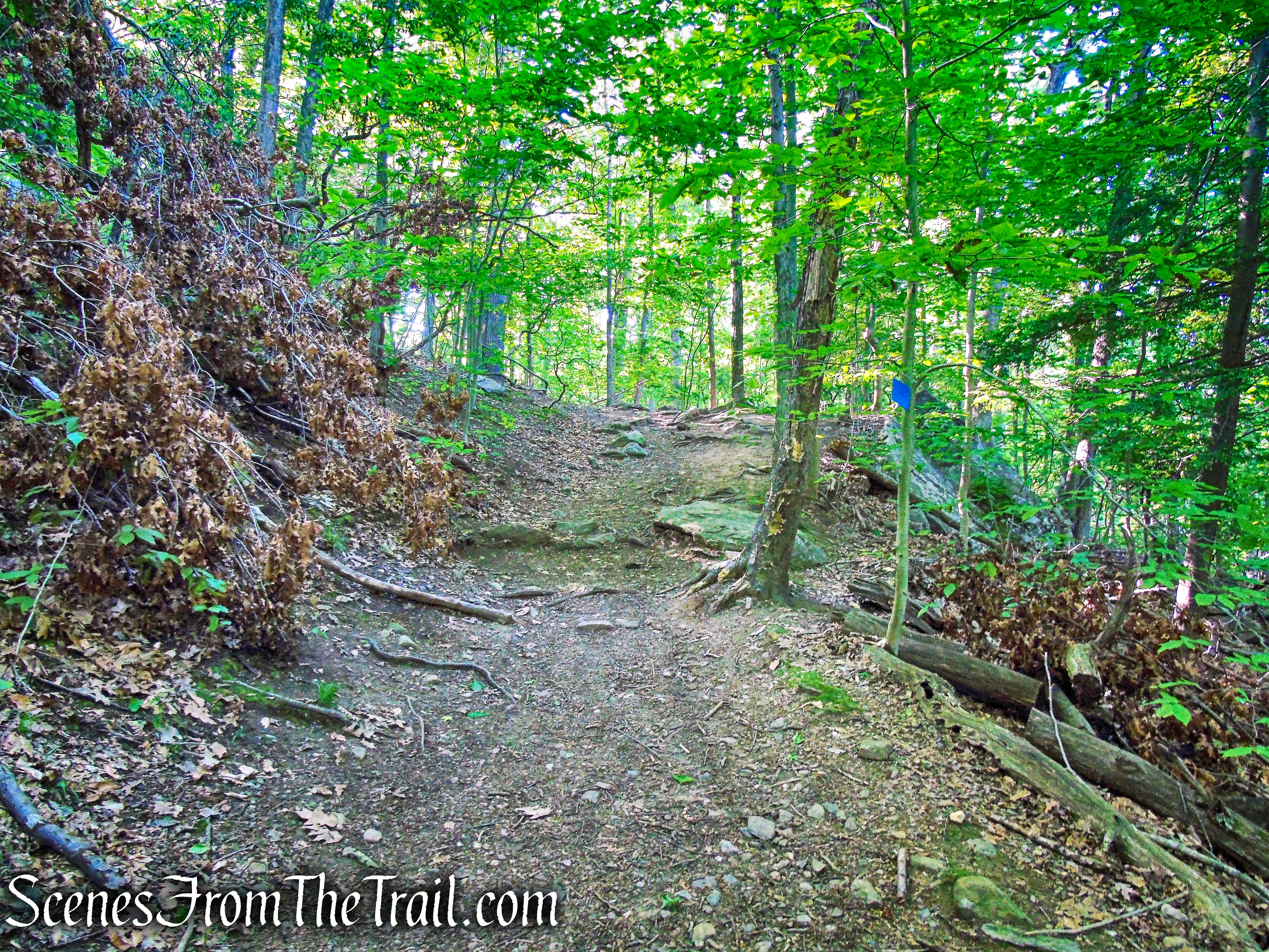 Blue Trail - Whippoorwill Park