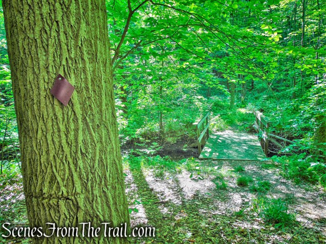 Purple Trail - Whippoorwill Park