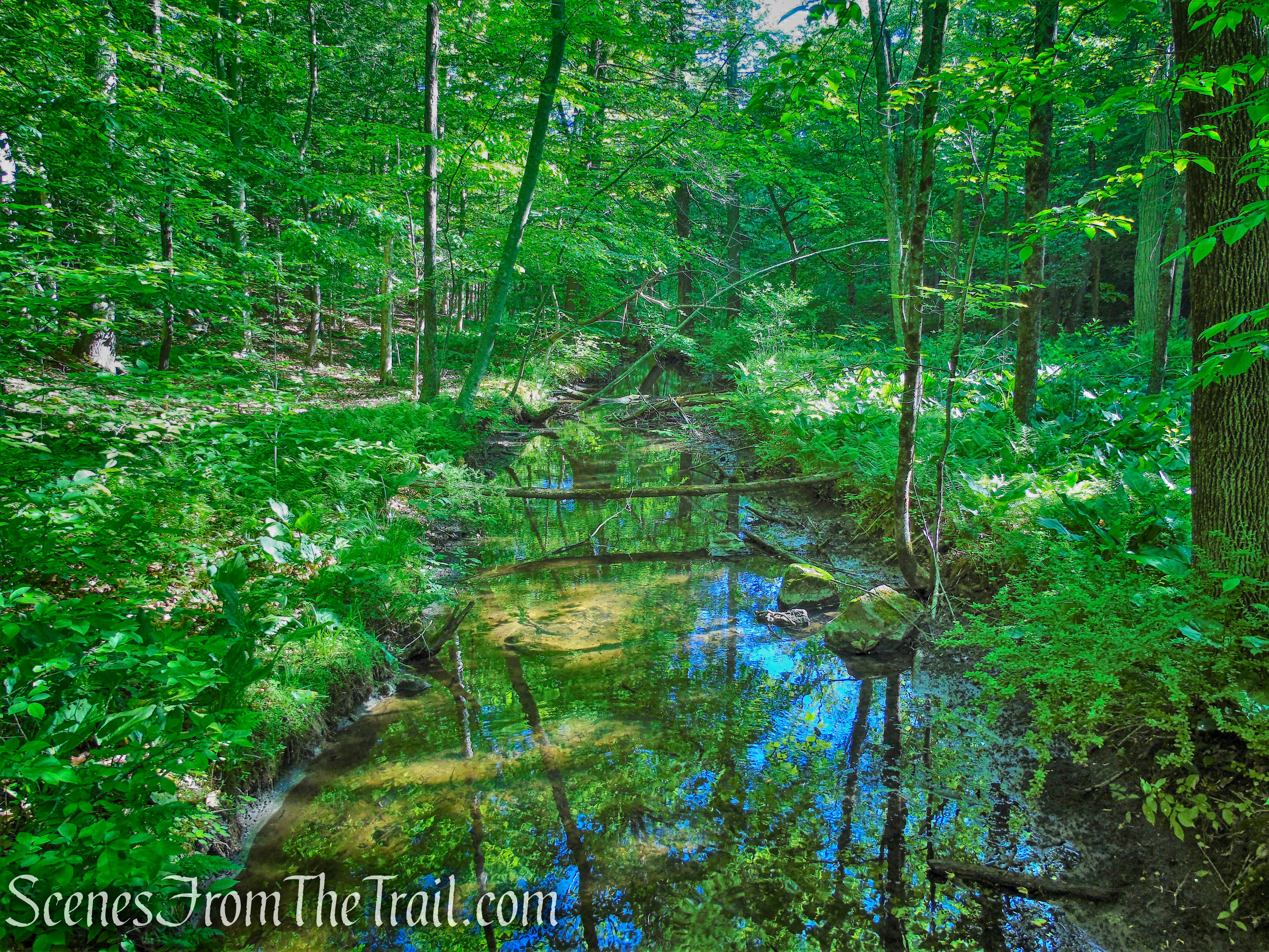 Purple Trail - Whippoorwill Park