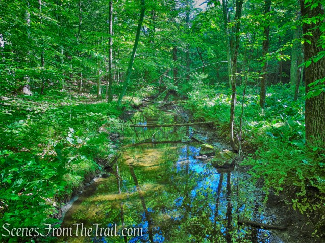 Purple Trail - Whippoorwill Park