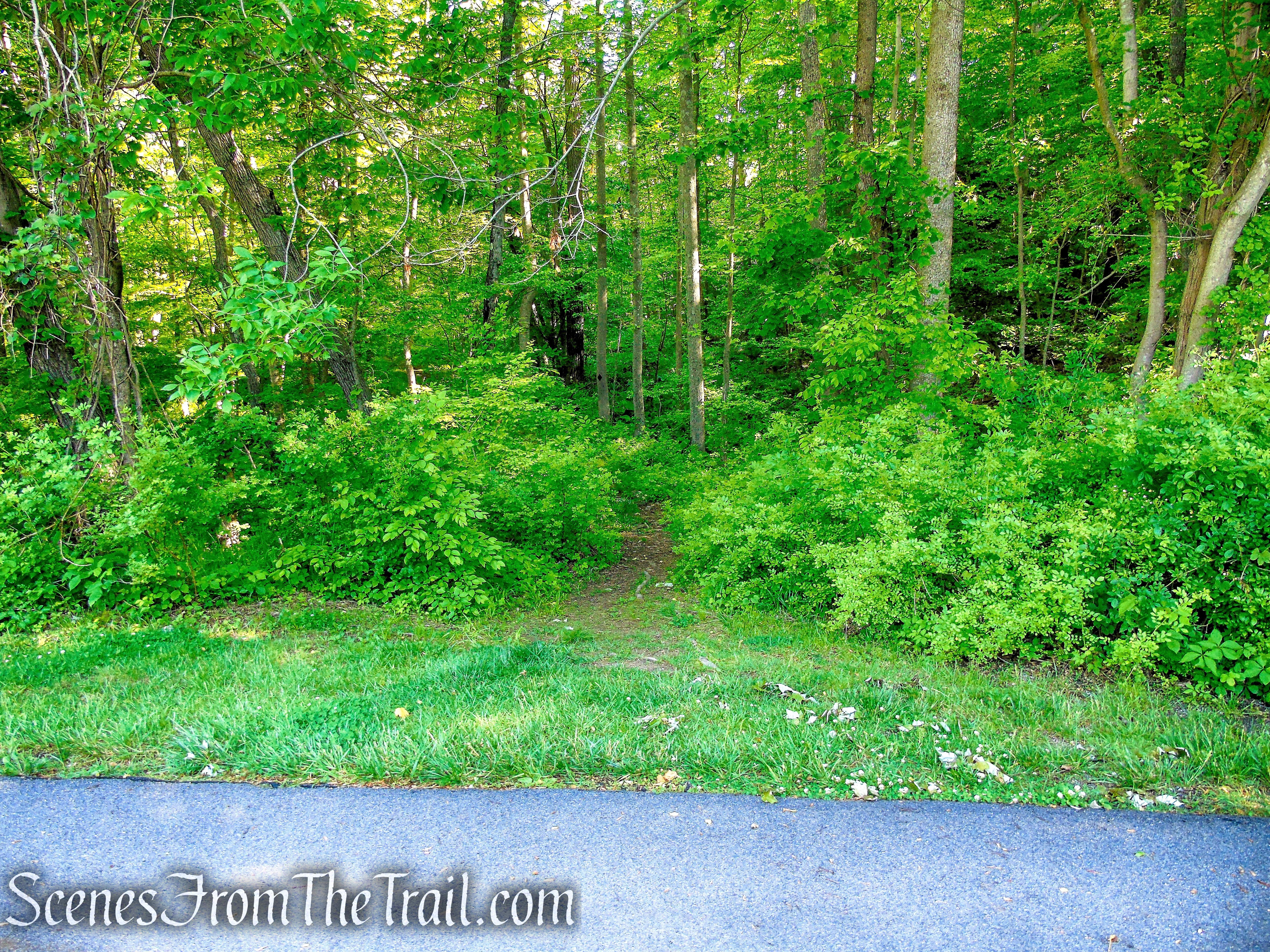 Purple Trail - Whippoorwill Park
