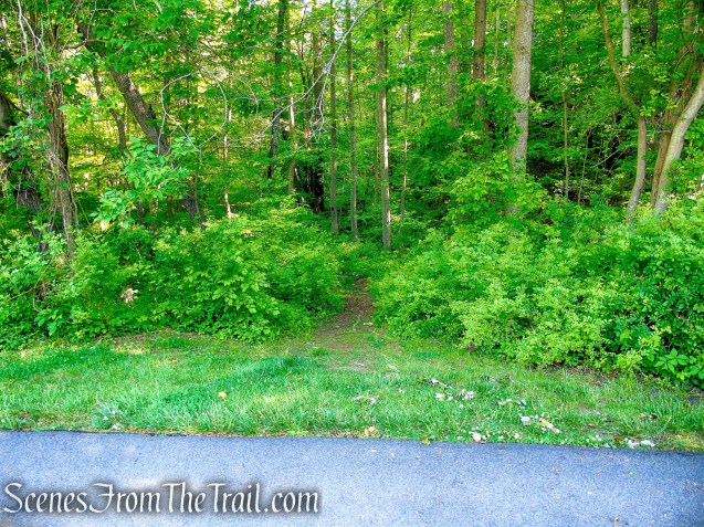 Purple Trail - Whippoorwill Park