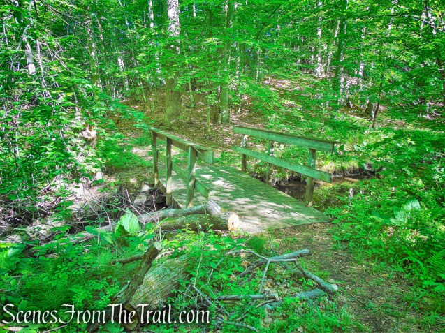 Purple Trail - Whippoorwill Park