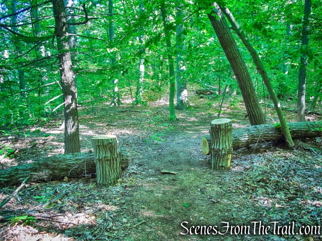 Purple Trail - Whippoorwill Park