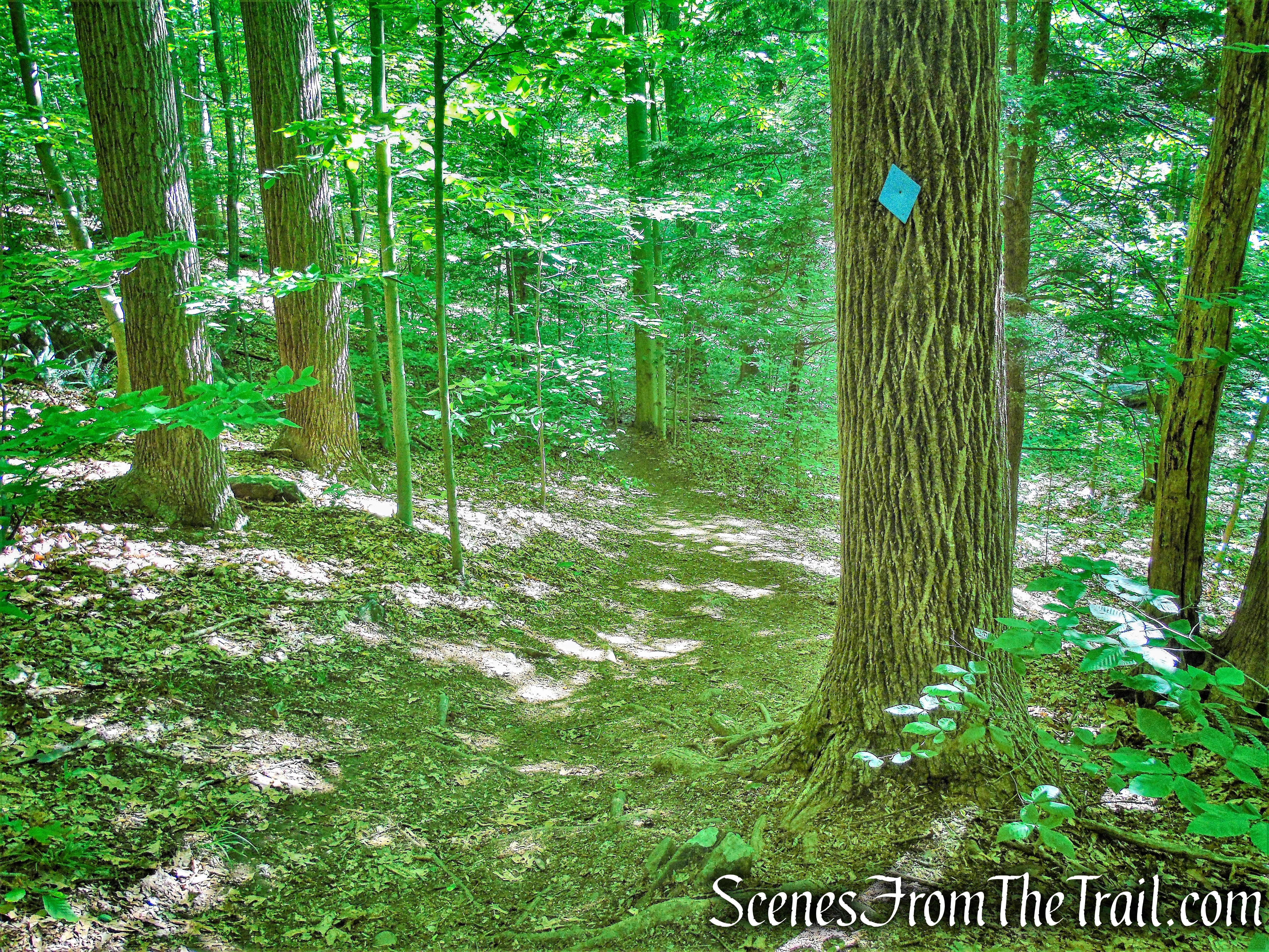 Blue Trail - Whippoorwill Park
