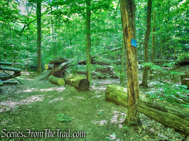 Blue Trail - Whippoorwill Park