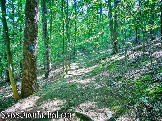 Blue Trail - Whippoorwill Park