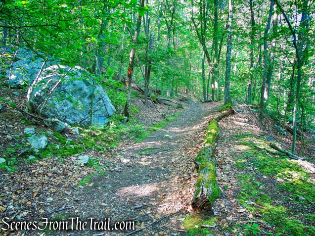 turn right on Orange Trail - Whippoorwill Park