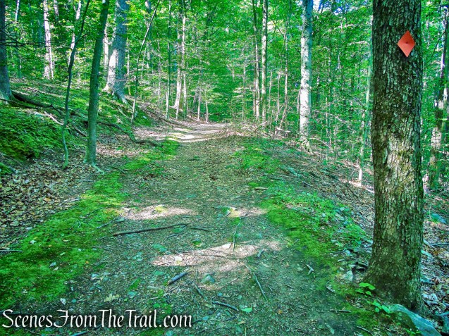 Orange Trail - Whippoorwill Park