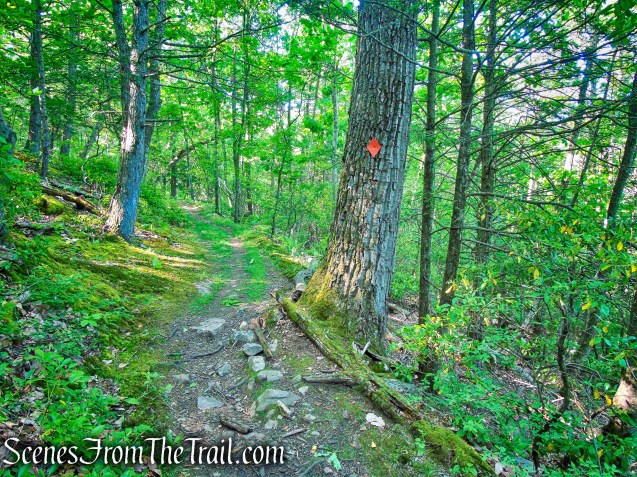 Orange Trail - Whippoorwill Park