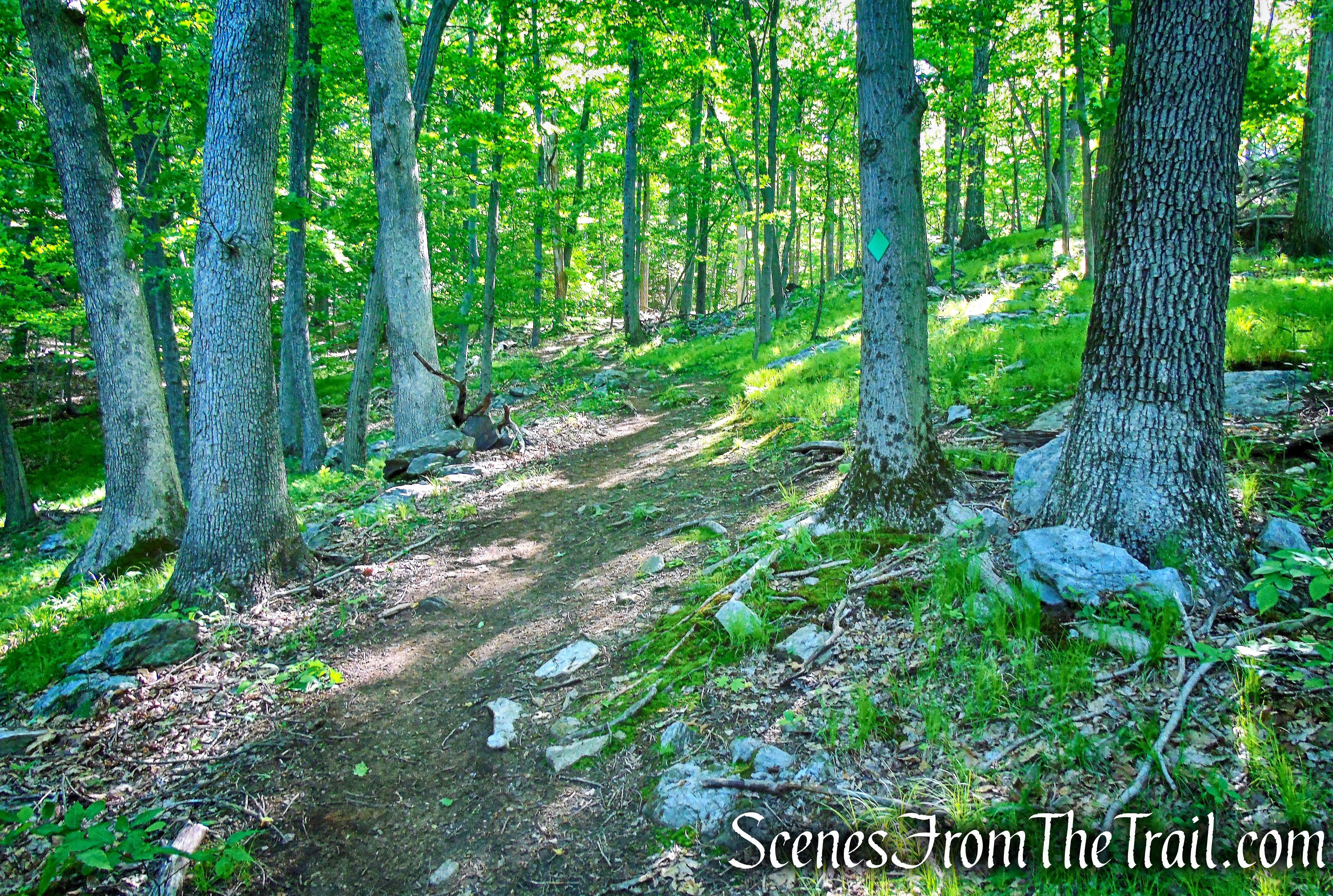 Green Trail - Whippoorwill Park