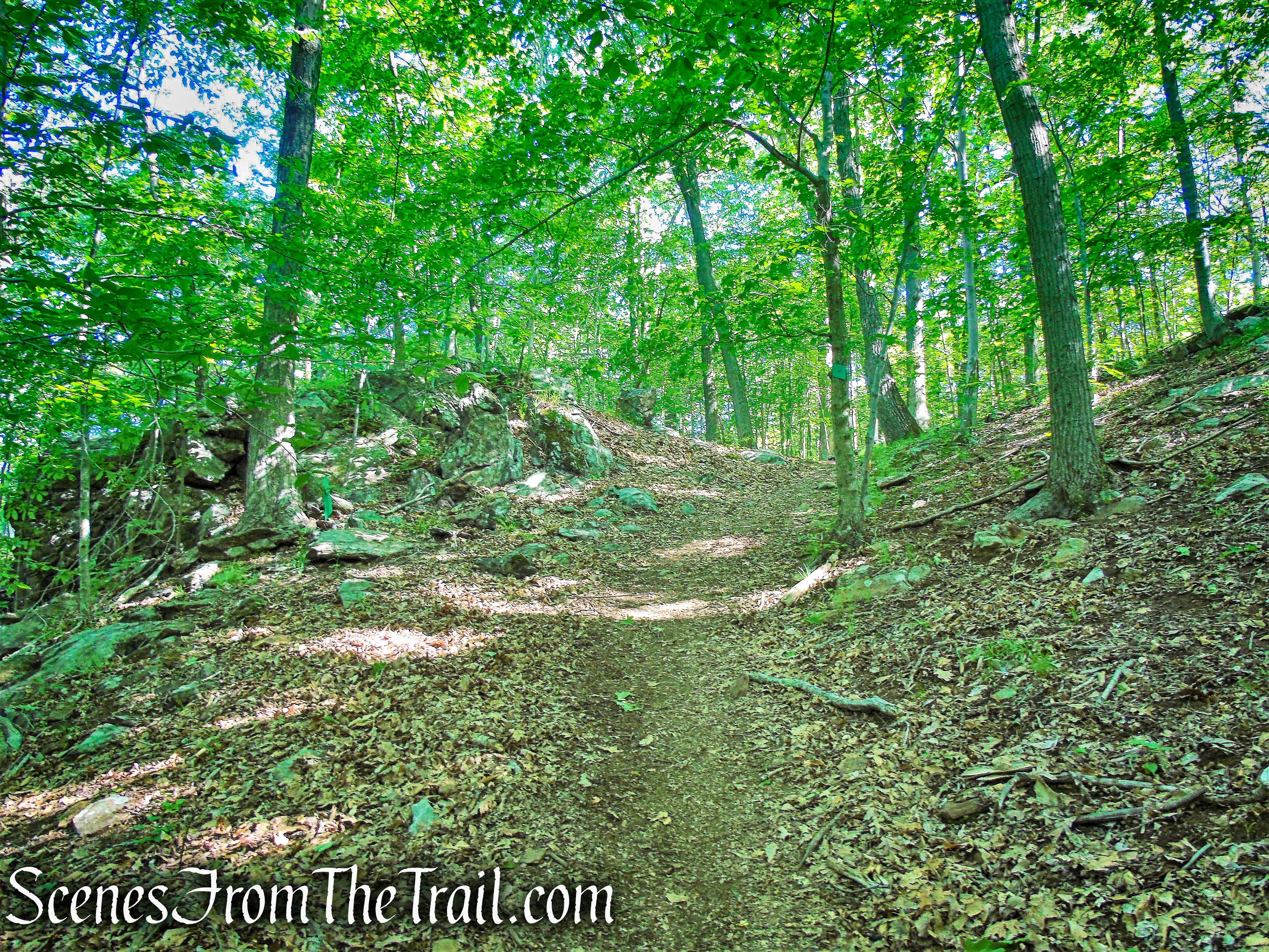 Green Trail - Whippoorwill Park