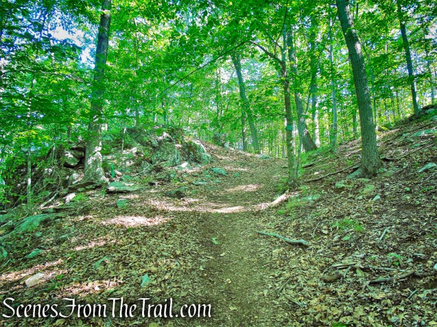 Green Trail - Whippoorwill Park