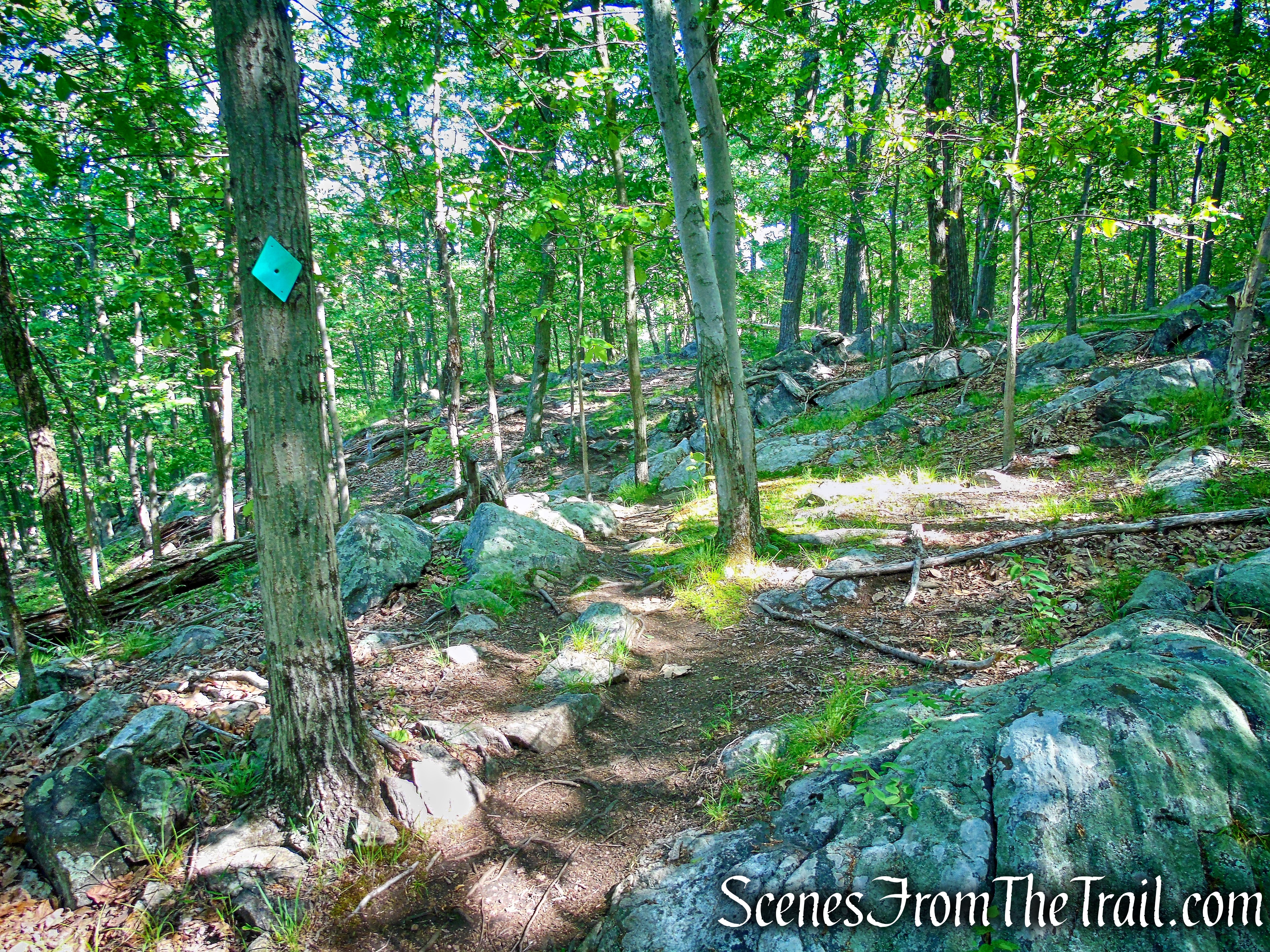 Green Trail - Whippoorwill Park