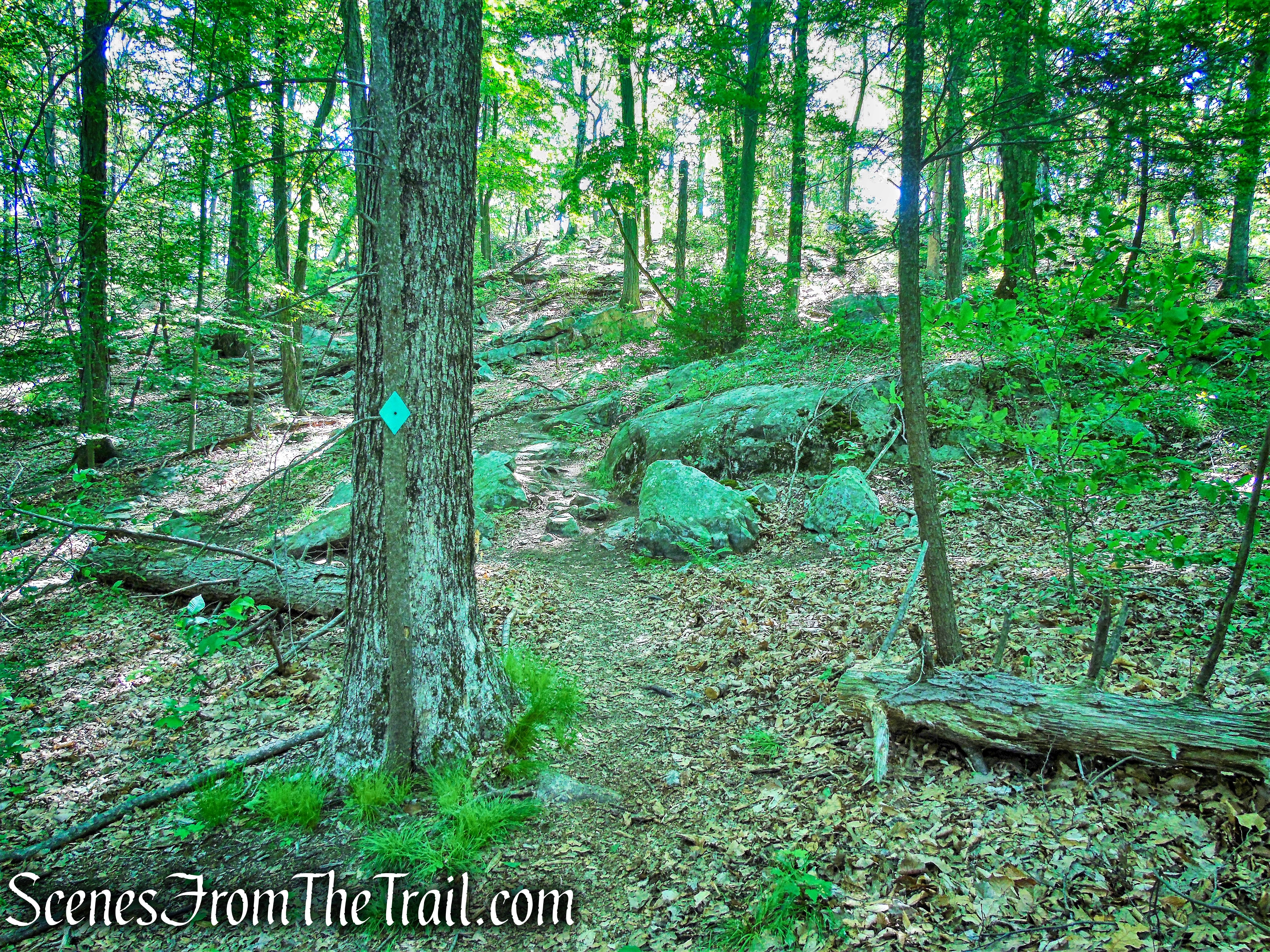 Green Trail - Whippoorwill Park