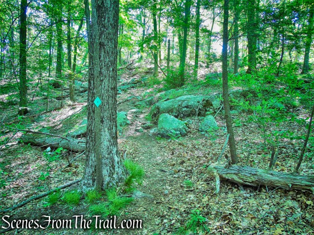 Green Trail - Whippoorwill Park