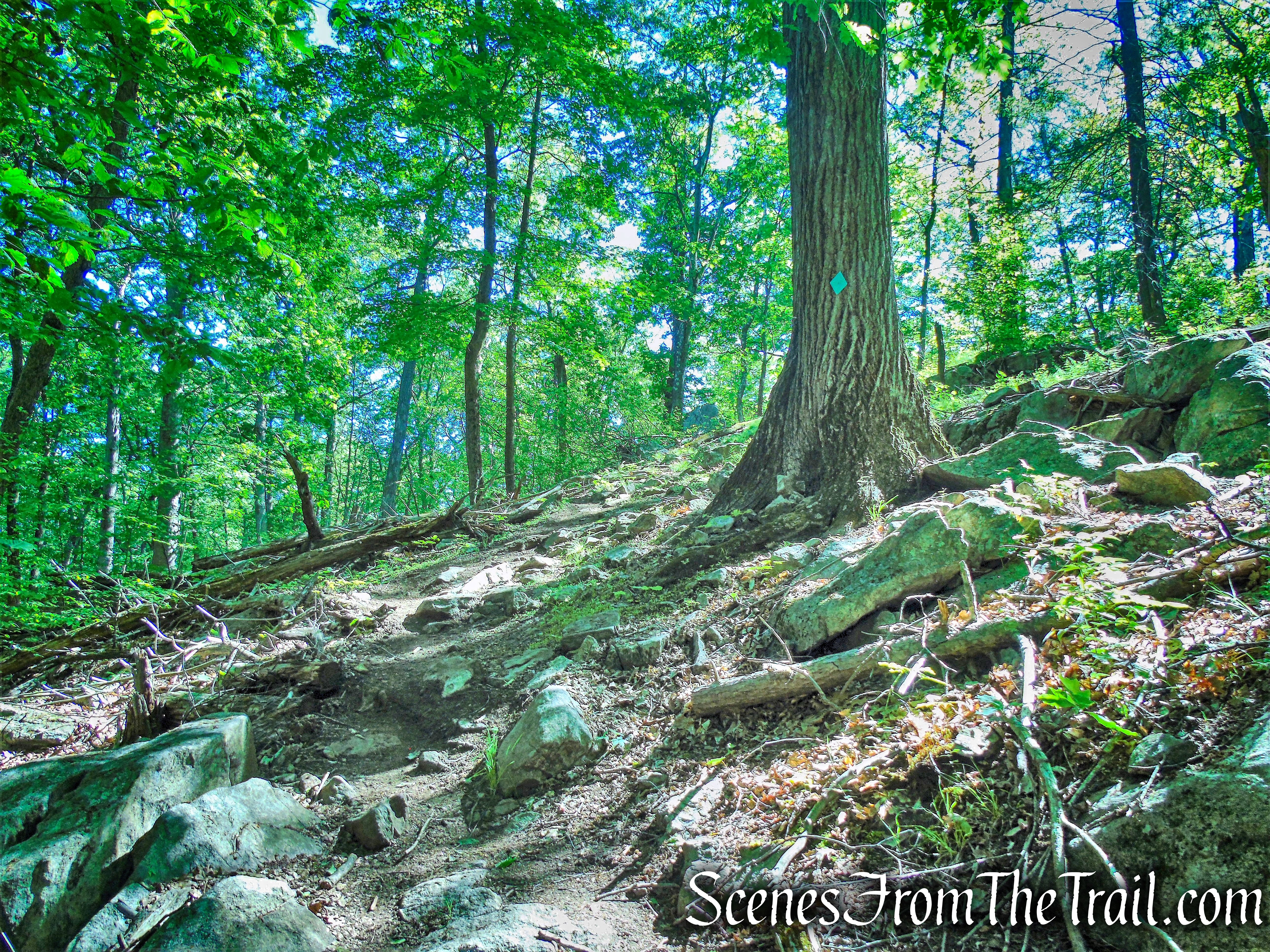 Green Trail - Whippoorwill Park