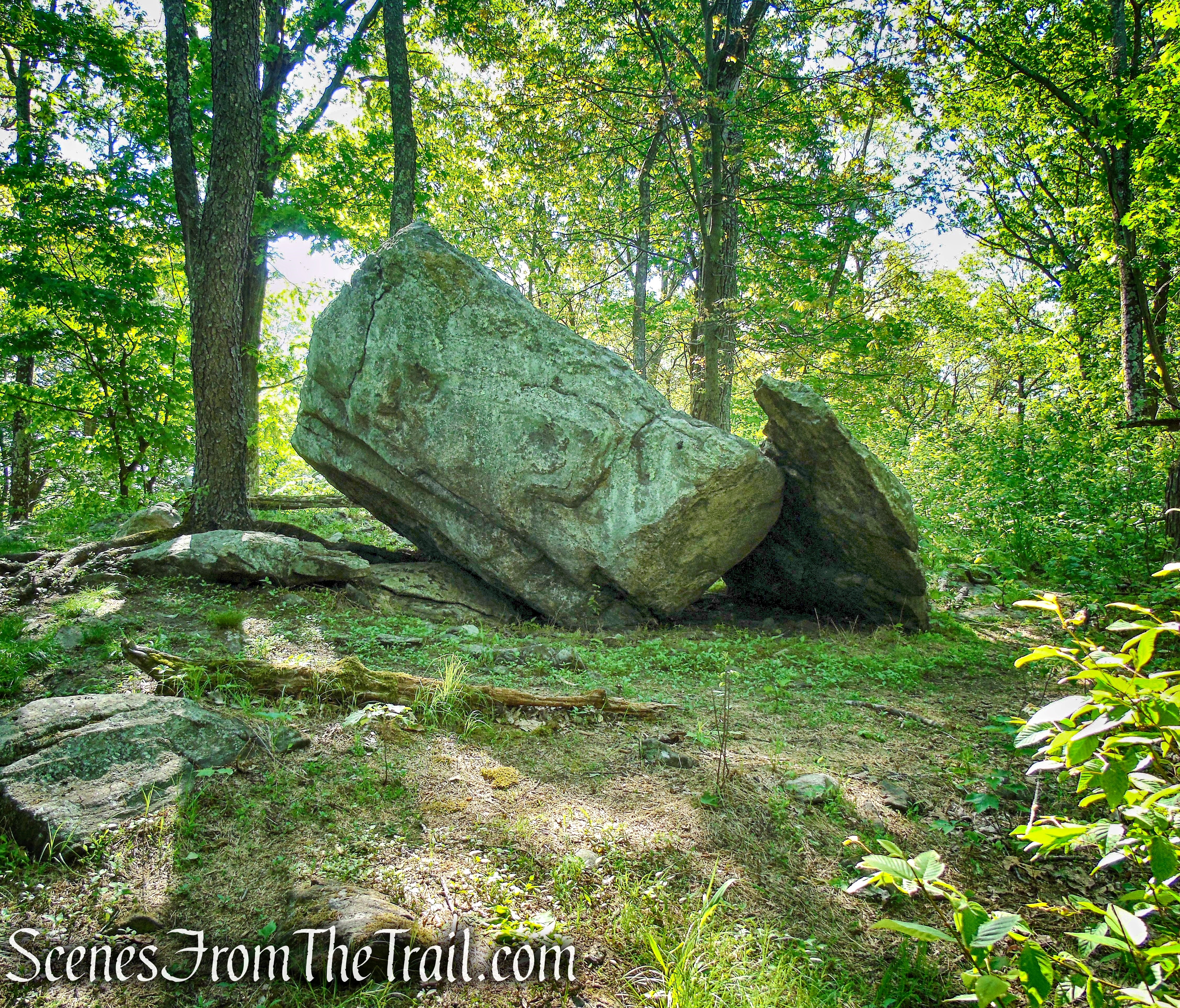 Green Trail - Whippoorwill Park